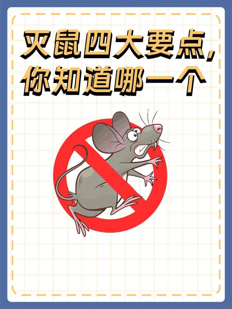 西安消杀公司