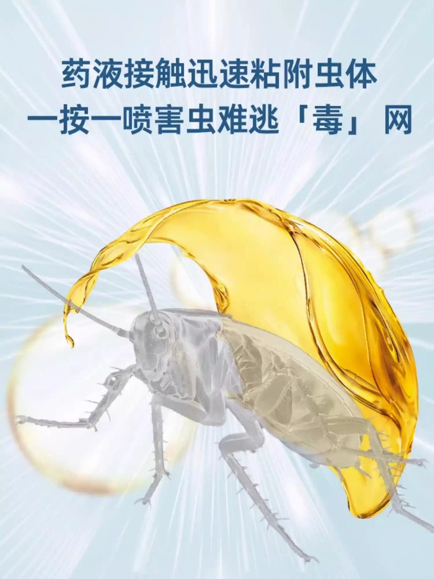 西安消杀公司